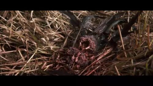 解冻在线观看完整版  第1张